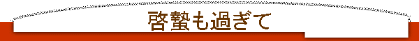 [孂߂