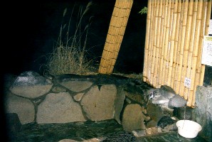 kunugi6.JPG (23036 バイト)家族風呂