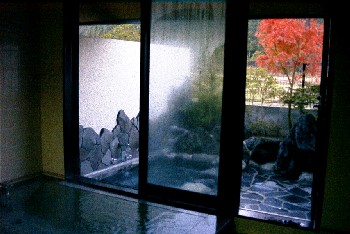 zenya5.jpg (30770 バイト)