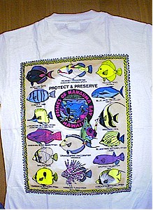 ts_26b.JPG (38481 バイト)