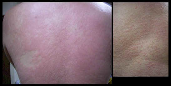 dot_back.jpg (35890 バイト)